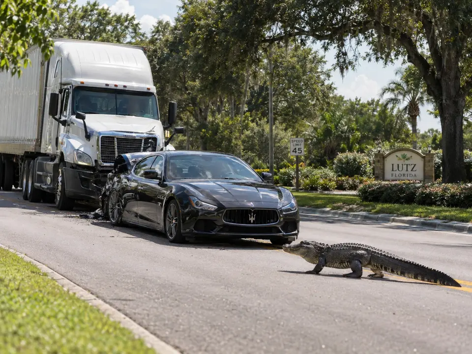 rear end accident liability